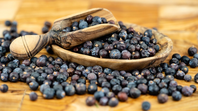 Juniper