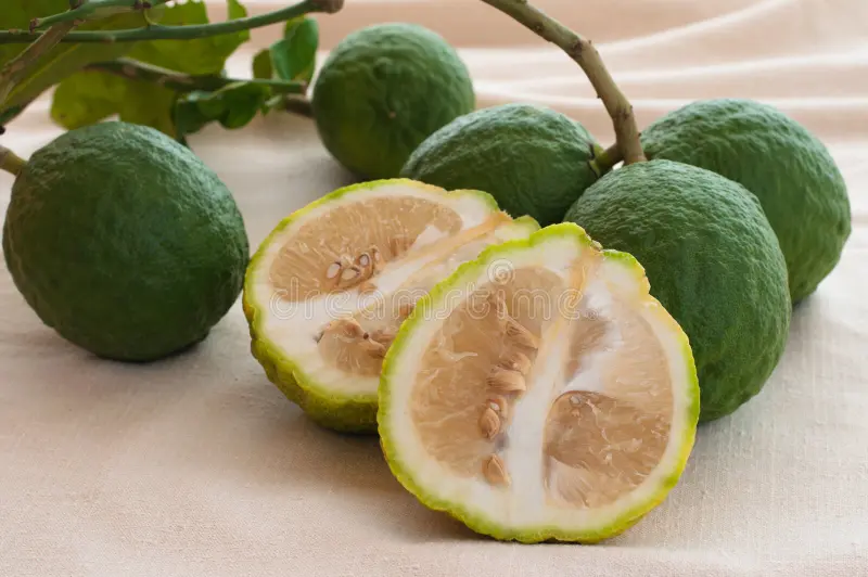 Churku (Bitter Orange)